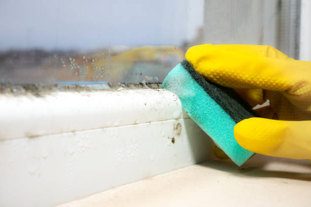 Best Industrial Mold Remediation  in Charles City, IA